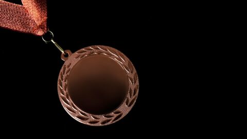 COMMENT OBTENIR ET VALORISER LA MEDAILLE DE BRONZE DE LA DEFENSE NATIONALE intelligence overview